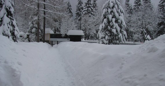 W Tatrach zaledwie w ciągu doby spadło prawie pół metra świeżego śniegu. TOPR wprowadził czwarty, czyli  niemal najwyższy stopień zagrożenia lawinowego. Zamknięta jest większość szlaków turystycznych i trasy narciarskie na Kasprowym Wierchu. 
