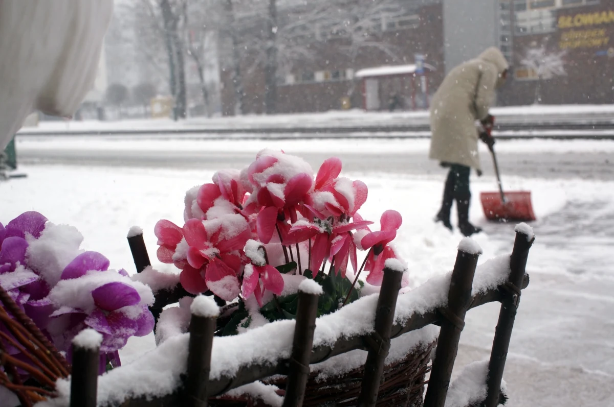 Długa zima szkodzi polskiej gospodarce. Śnieg w kwietniu oznacza dla nas spore straty - ostrzegają ekonomiści. Na zimowej pogodzie traci m.in. branża budowlana. Z powodu śniegu i niskiej temperatury trzeba opóźnić większość prac w budownictwie. 