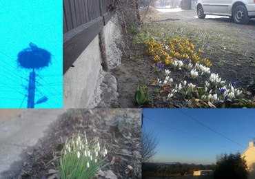 Szukaliśmy zaginionej Wiosny! Oto Wasze zdjęcia