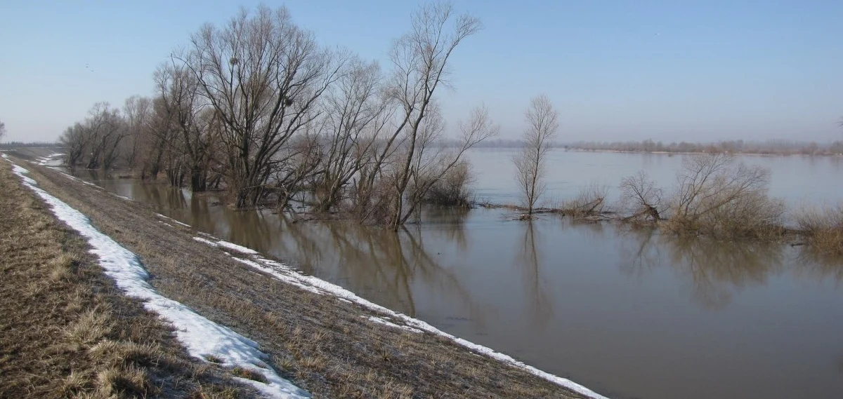 Ochrona powodziowa na południu Polski wciąż jest zaledwie dostateczna - wynika z ostatniego raportu Najwyższej Izby Kontroli. Zdaniem kontrolerów, wszystkie kluczowe inwestycje są opóźnione od roku do nawet trzech lat. 