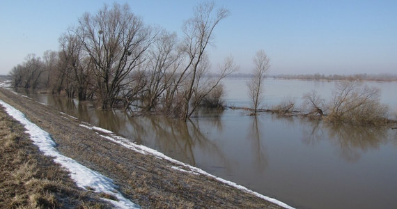 Ochrona powodziowa na południu Polski wciąż jest zaledwie dostateczna - wynika z ostatniego raportu Najwyższej Izby Kontroli. Zdaniem kontrolerów, wszystkie kluczowe inwestycje są opóźnione od roku do nawet trzech lat. 
