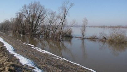 Zniszczone wały, nieuregulowane rzeki, czyli polska ochrona przed powodzią 
