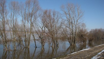 Wisła w Wilkowie: Mieszkańcy boją się powtórki z powodzi sprzed trzech lat 