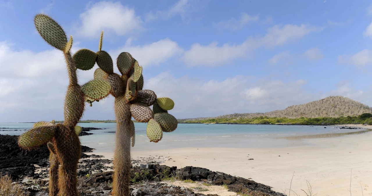 Galapagos