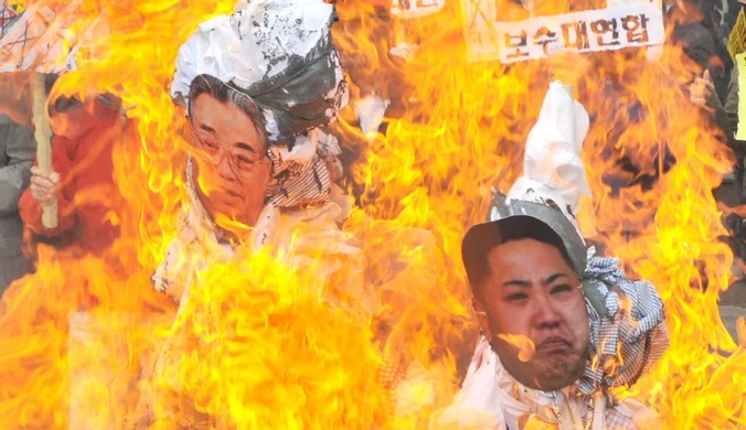 W Seulu spalono kukły Kimów
