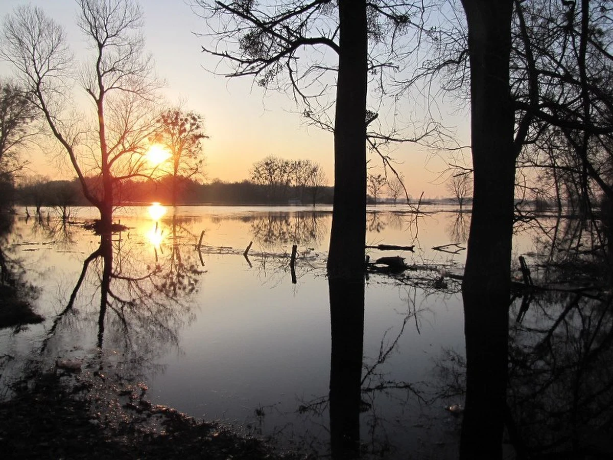 Poziom Bugu w Lubelskiem ustabilizował się, ale bardzo trudna jest wciąż sytuacja w gminach Hanna i Sławatycze. Jak wynika z najnowszych informacji, zalanych jest tam około 1400 hektarów łąk i około 450 hektarów pól. Nie da się dojechać do mniej więcej 120 gospodarstw.