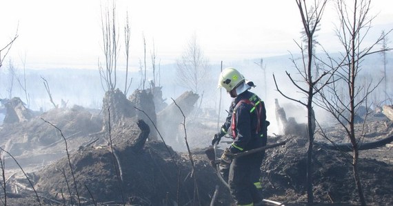 Słowaccy strażacy wspomagani przez wojsko od wczorajszego popołudnia walczyli z ogromnym pożarem lasu w pobliżu Starego Smokowca w Tatrzańskim Parku Narodowym (TANAP). Płomienie, które pojawiły się w trudno dostępnym terenie, strawiły około 50 hektarów drzew i poszycia. Pożar udało się opanować dopiero w nocy.