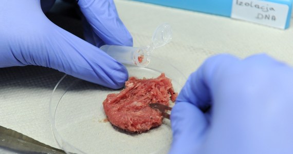 ​W Rosławowicach w woj. łódzkim odkryto antybiotyki w próbkach, pobranych z około 100 ton mięsa ukrytego w magazynie na terenie ubojni. Wciąż nie wiadomo, gdzie trafiało mięso z zakładu.