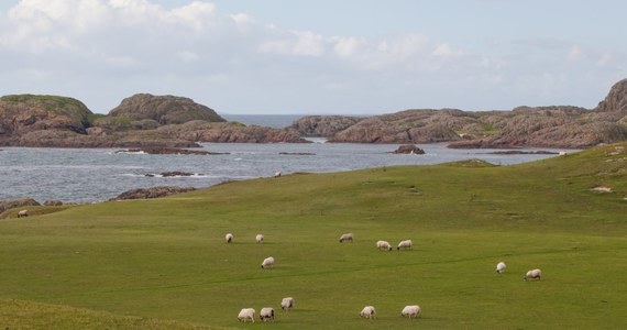 U wybrzeży Szkocji wystawiono na sprzedaż wyspę - Taner Mòr. By stać się jej właścicielem, trzeba zapłacić 2,5 miliona funtów. Z  uwagi na malownicze tereny i potencjał turystyczny wcale nie jest to wygórowana cena.