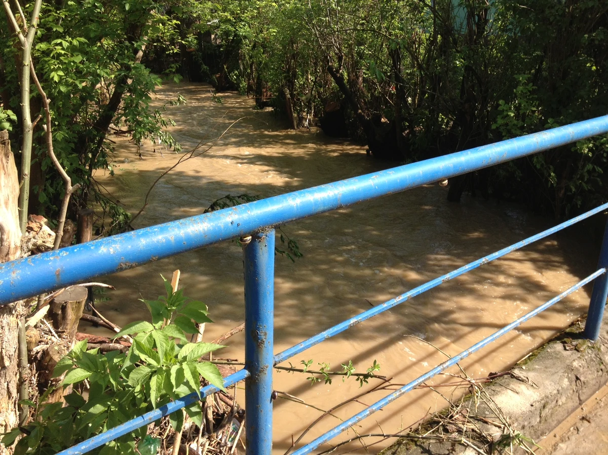 Po ulewnej burzy, jaka w nocy przeszła nad powiatami pińczowskim i kazimierskim w Świętokrzyskiem, podtopionych zostało 50 domów. Ewakuowano dwie rodziny. Trwa usuwanie skutków nawałnicy. 