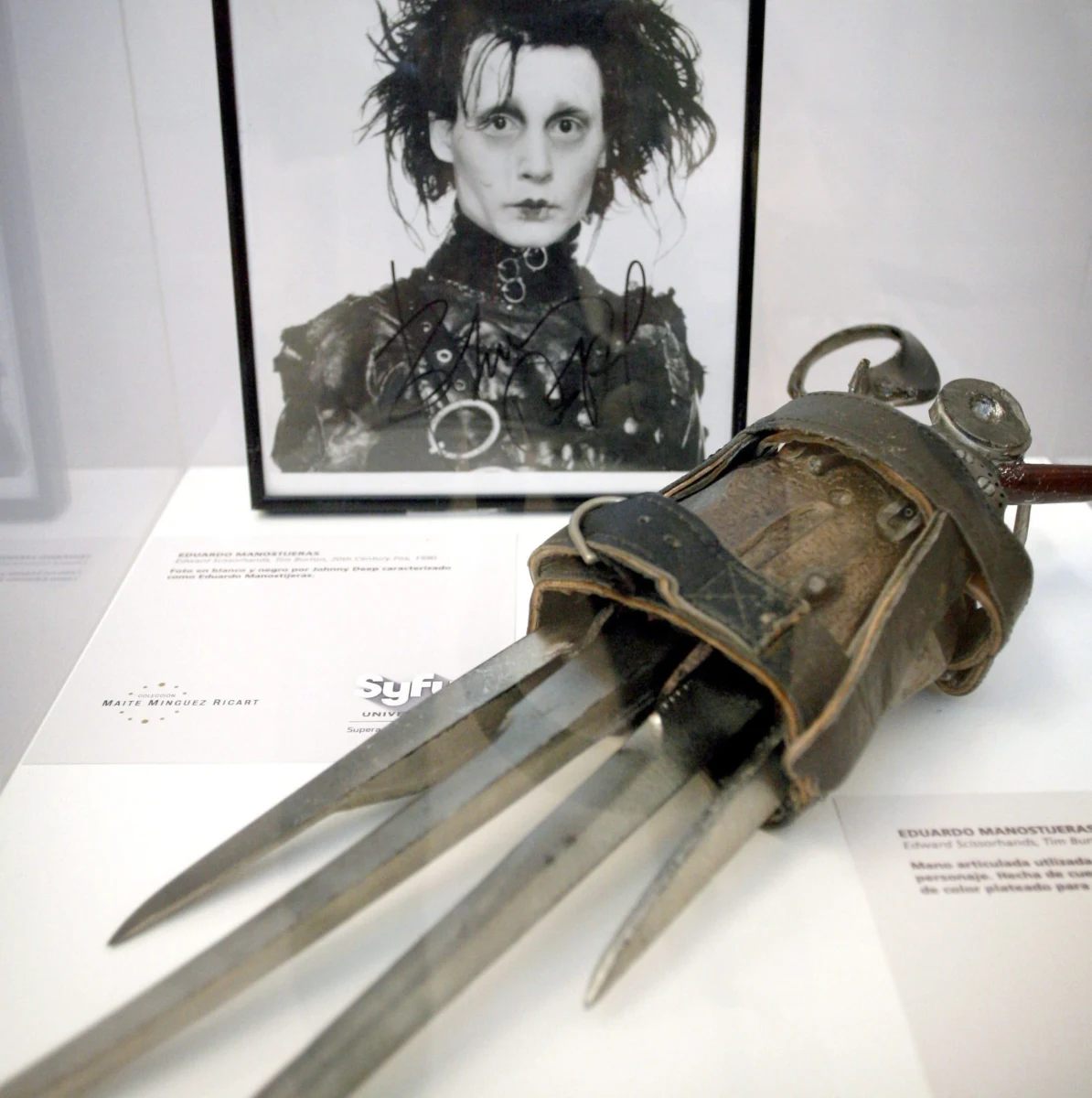 Popularny aktor Johnny Depp trafił do podręczników paleontologii. Jego imieniem nazwano gatunek stawonoga, którego skamieniałości sprzed około 505 milionów lat odkryto na wybrzeżu prowincji Kolumbia Brytyjska w Kanadzie. Nazwa Kooteninchela deppi wiąże się z faktem, że kształt odnóży stawonoga przypomina ręce jednej z najgłośniejszych postaci kreowanych przez Deppa, Edwarda Nożycorękiego, tytułowego bohatera filmu Tima Burtona.