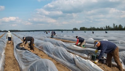 Niemcy przepraszają za samosąd na Polakach