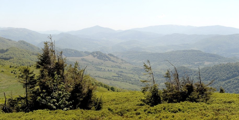 /Darek Delmanowicz /PAP