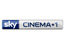 Sky Cinema + 1