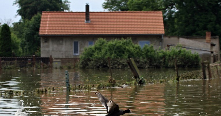 Czechy Ulewy i wichury, setki zalanych piwnic Wydarzenia w INTERIA.PL