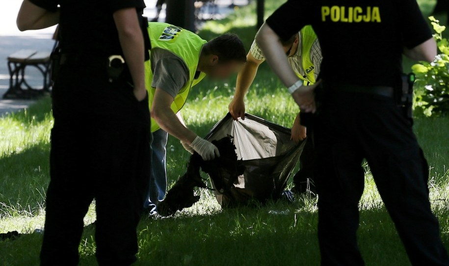 /Paweł Supernak /PAP