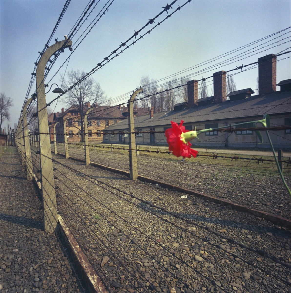Do olsztyńskiego sądu wpłynął pozew przeciw wydawcy niemieckiego tygodnika "Focus" za użycie w publikacjach zwrotu "polski obóz zagłady". Sprostowania i zakazu używania takich określeń w przyszłości domaga się b. więźniarka niemieckiego obozu w Potulicach.