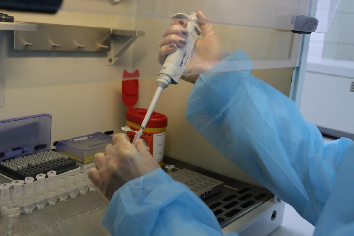 22 osoby z zielonej szkoły w Tleniu pod Bydgoszczą trafiły do szpitala z objawami zatrucia. Większość z nich to uczniowie jednej ze szkół podstawowych w Bydgoszczy.