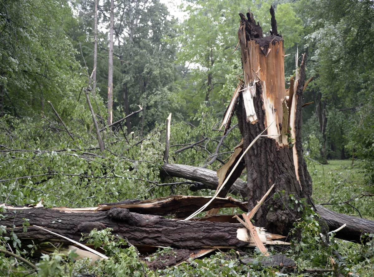 Po burzach, które wieczorem i w nocy przeszły nad Podkarpaciem, około 7 tysięcy odbiorców nie ma prądu. Od wczoraj podkarpaccy strażacy interweniowali już ponad 150 razy. Najwięcej zniszczeń jest w powiecie rzeszowskim. Podczas nawałnic nikomu nic się nie stało.