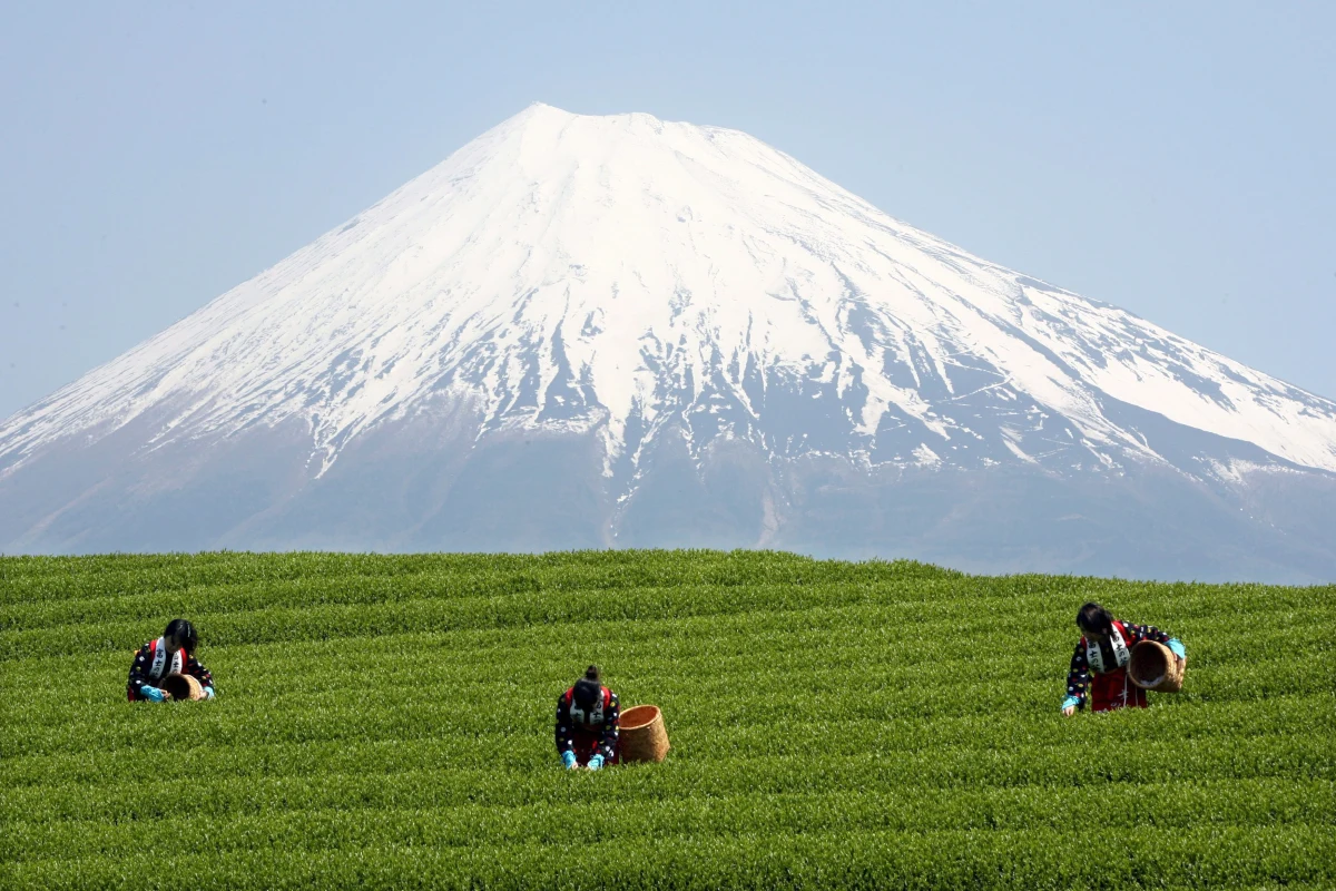 Święta góra i najwyższy szczyt Japonii, Fudżi, została wpisana na listę światowego dziedzictwa UNESCO. Podkreślono znaczenie szczytu dla japońskiej kultury. 