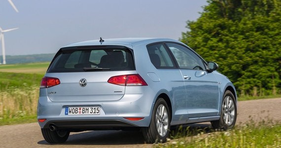 Volkswagen Golf BlueMotion zdj.4 magazynauto.interia