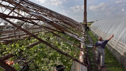 Ulewy i gradobicia zniszczyły 16 tysięcy hektarów upraw na Opolszczyźnie 