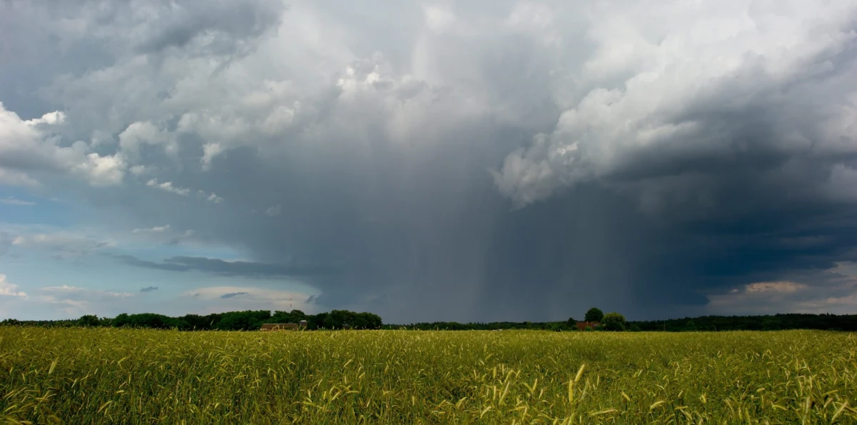 W środę w całym kraju będzie upalnie - na termometrach na południu Polski zobaczymy nawet 29 stopni. Niespokojnie może być na zachodzie, gdzie prognozujemy gwałtowne burze z silnym wiatrem.
