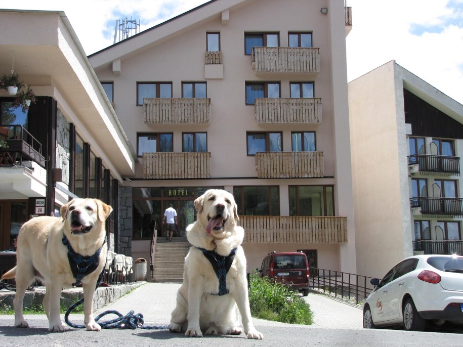 /Maciej Pałahicki /RMF FM