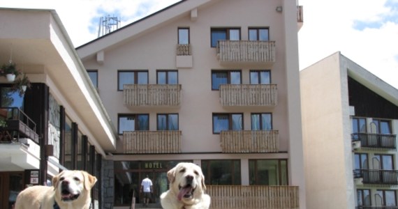 W Tatrach powstał pierwszy hotel przyjazny psom. Nie dość, że przyjmują w nim czworonogich przyjaciół za darmo, to jeszcze przygotowali dla nich prezenty, poczęstunek, a nawet specjalne psie menu. Szkoda tylko, że to nie u nas, a na Słowacji. 