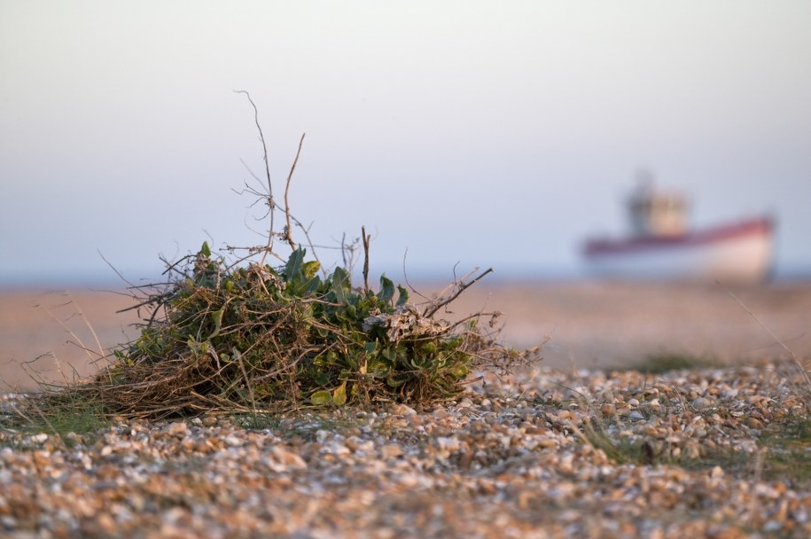 /Paolo De Faveri    /PAP/EPA