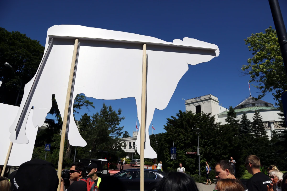 ​Nawet sześć tysięcy osób może stracić pracę, jeśli utrzymany zostanie zakaz uboju rytualnego - alarmuje branża mięsna i organizacje rolnicze. Teraz starają się one przekonać posłów, żeby głosowali za ustawowymi zmianami, które dopuszczają ubój w celach religijnych.