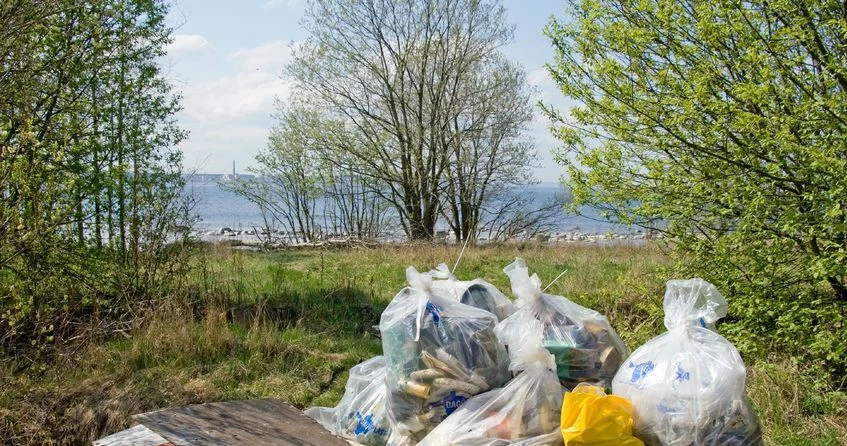 "Dzikie wysypiska rosną w oczach" - alarmuje "Fakt"