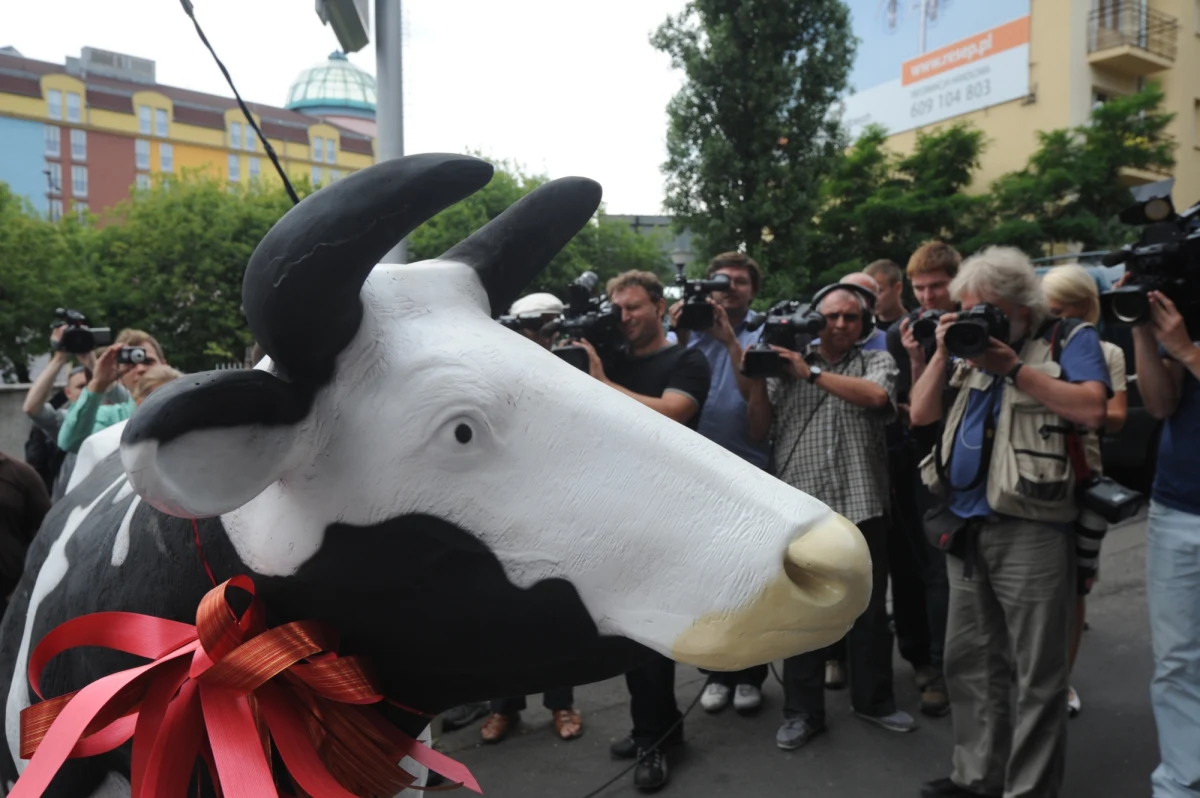 W klubie Platformy Obywatelskiej nie będzie obowiązywała dyscyplina w głosowaniu nad rządowym projektem ustawy dotyczącym uboju rytualnego. Ponad 30 posłów PO chce głosować przeciwko temu projektowi. 