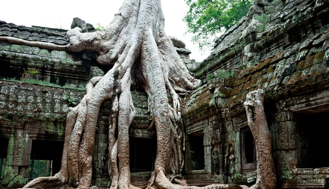 W Kambodży znaleziono miasto ukryte pod tropikalnym lasem