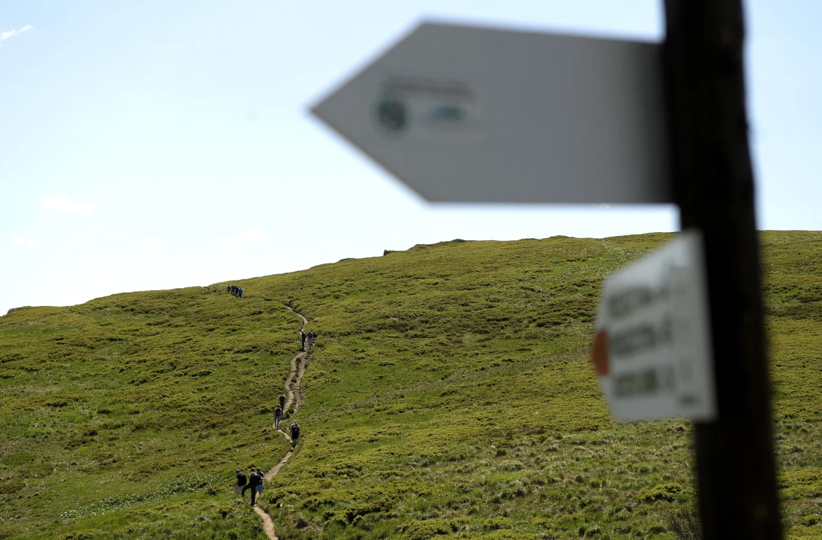 Pięciu turystów zostało zatrzymanych w ciągu ostatnich dwóch dni za nielegalne przekroczenie polsko-ukraińskiej granicy. Jak ustalił reporter RMF FM, powodem takiego zachowania była chęć... zrobienia sobie zdjęcia ze słupem granicznym. 