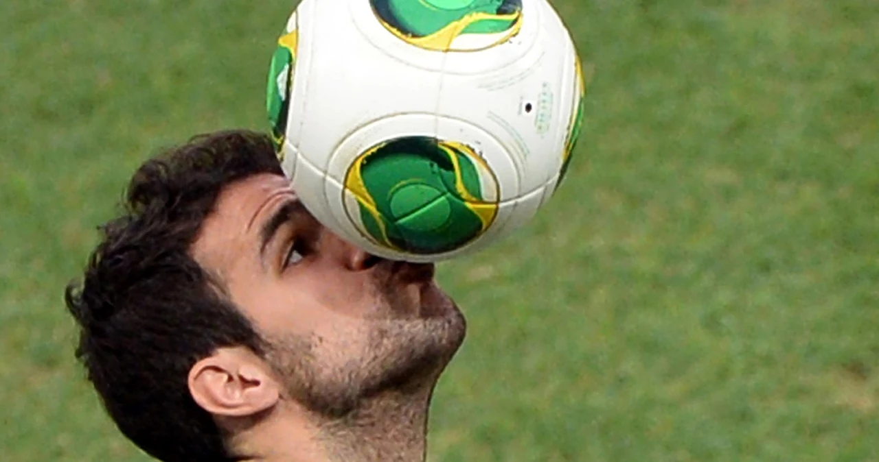 Cesc Fabregas