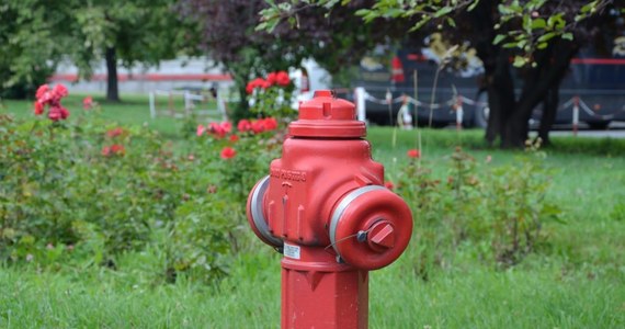 Podkarpacka gmina Tyczyn, małopolskie gminy Skała i Michałowice ograniczają pobór wody z wodociągów - alarmujecie na Gorącą Linię RMF FM. Nasz reporter Maciej Grzyb zweryfikował te informacje. Dowiedział się też, że za nieprzestrzeganie zakazów grożą wysokie kary.