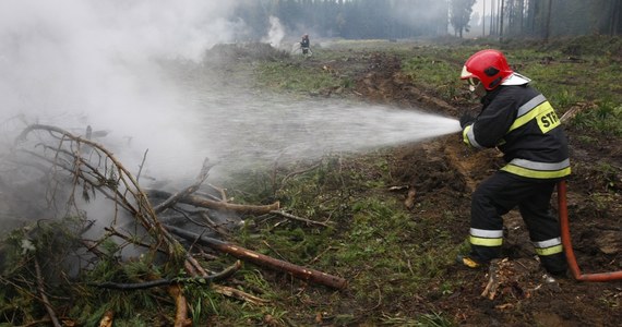 Strażakom udało się opanować pożar 40 hektarów lasu i pól w Lipsku na południu Mazowsza. Dogaszanie może potrwać nawet do rana. W akcji uczestniczyło ponad 100 strażaków i dwa samoloty gaśnicze. 