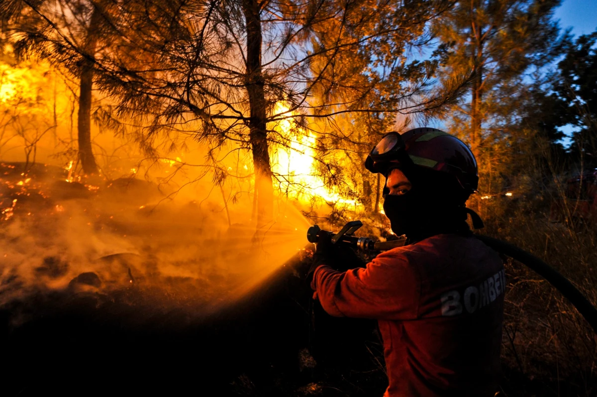 Ponad 500 strażaków walczy z pożarami lasów w północnej i centralnej Portugalii, a także na Maderze, gdzie z powodu ognia, który zbliżał się do zabudowań, trzeba było prewencyjnie ewakuować szpital. W okolicy miasta Funchal, głównego ośrodka Madery, ogień szaleje od piątku.