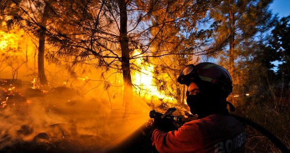 Ponad 500 strażaków walczy z pożarami lasów w północnej i centralnej Portugalii, a także na Maderze, gdzie z powodu ognia, który zbliżał się do zabudowań, trzeba było prewencyjnie ewakuować szpital. W okolicy miasta Funchal, głównego ośrodka Madery, ogień szaleje od piątku.