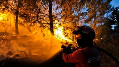 Płoną lasy na Maderze. Władze ewakuowały szpital