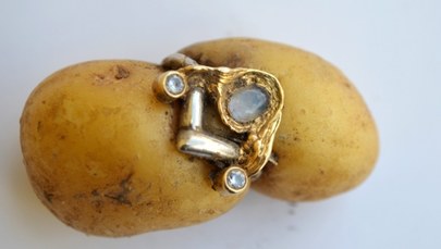 Pierścionek odnaleziony po latach... w ziemniaku