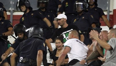 Kibice Śląska zwolnieni z aresztu po bójce na stadionie w Sewilli