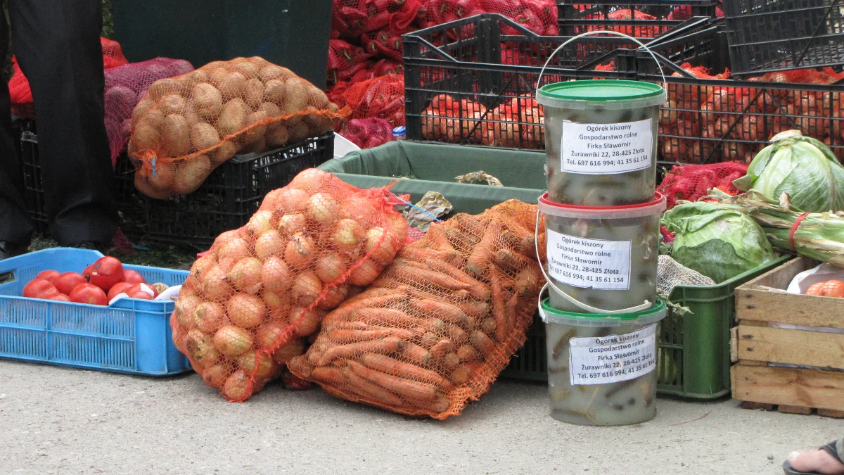 ​Czekają nas podwyżki cen warzyw. Wszystko przez późną wiosnę i suszę. Zbiory będą niższe. Cieszą się tylko plantatorzy, bo ceny skupu są nawet trzy razy wyższe niż rok temu.