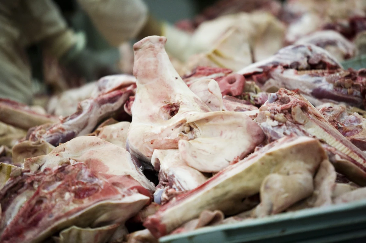 Agencja Bezpieczeństwa Wewnętrznego wyjaśnia sprawę polskiej wieprzowiny, która trafiła do Rosji. Federalne służby twierdzą, że  w polskim transporcie przemycane było hiszpańskie mięso. Na tej podstawie Rosja wprowadziła ścisłą kontrolę wszystkich partii mięsa wieprzowego sprowadzanego z Polski.