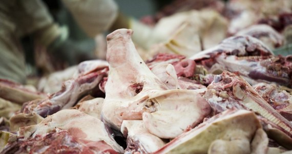 Agencja Bezpieczeństwa Wewnętrznego wyjaśnia sprawę polskiej wieprzowiny, która trafiła do Rosji. Federalne służby twierdzą, że  w polskim transporcie przemycane było hiszpańskie mięso. Na tej podstawie Rosja wprowadziła ścisłą kontrolę wszystkich partii mięsa wieprzowego sprowadzanego z Polski.