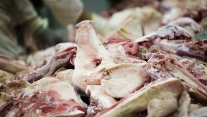 ABW zajmuje się skandalem z polską wieprzowiną