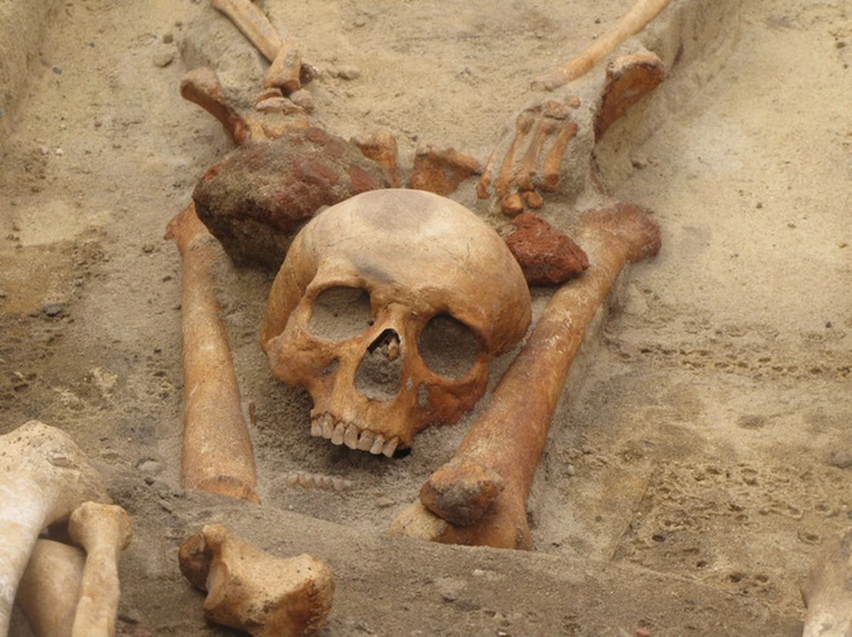 Będą kolejne badania archeologów w miejscu, gdzie odkryto cmentarzysko wampirów w Gliwicach. Spośród 44 odnalezionych tam ludzkich szczątek, 17 pochowano tak, jak setki lat temu grzebano osoby uznawane za wampiry. To największe takie cmentarzysko w Polsce.