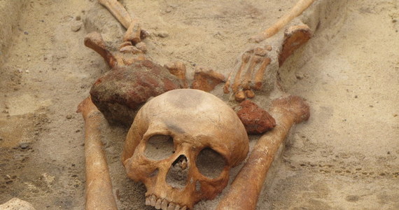 Będą kolejne badania archeologów w miejscu, gdzie odkryto cmentarzysko wampirów w Gliwicach. Spośród 44 odnalezionych tam ludzkich szczątek, 17 pochowano tak, jak setki lat temu grzebano osoby uznawane za wampiry. To największe takie cmentarzysko w Polsce.