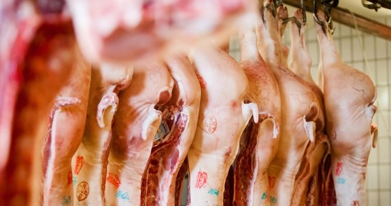 Rosja może wprowadzić embargo na import mięsnej i mlecznej produkcji z Polski - poinformował przedstawiciel rosyjskiej Federalnej Służby Nadzoru Weterynaryjnego i Fitosanitarnego (Rossielchoznadzor) Aleksiej Aleksiejenko. "Chodzi o bardzo poważne niedociągnięcia systemowe" - twierdzi.